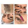 PhiBrows Shading Presencial